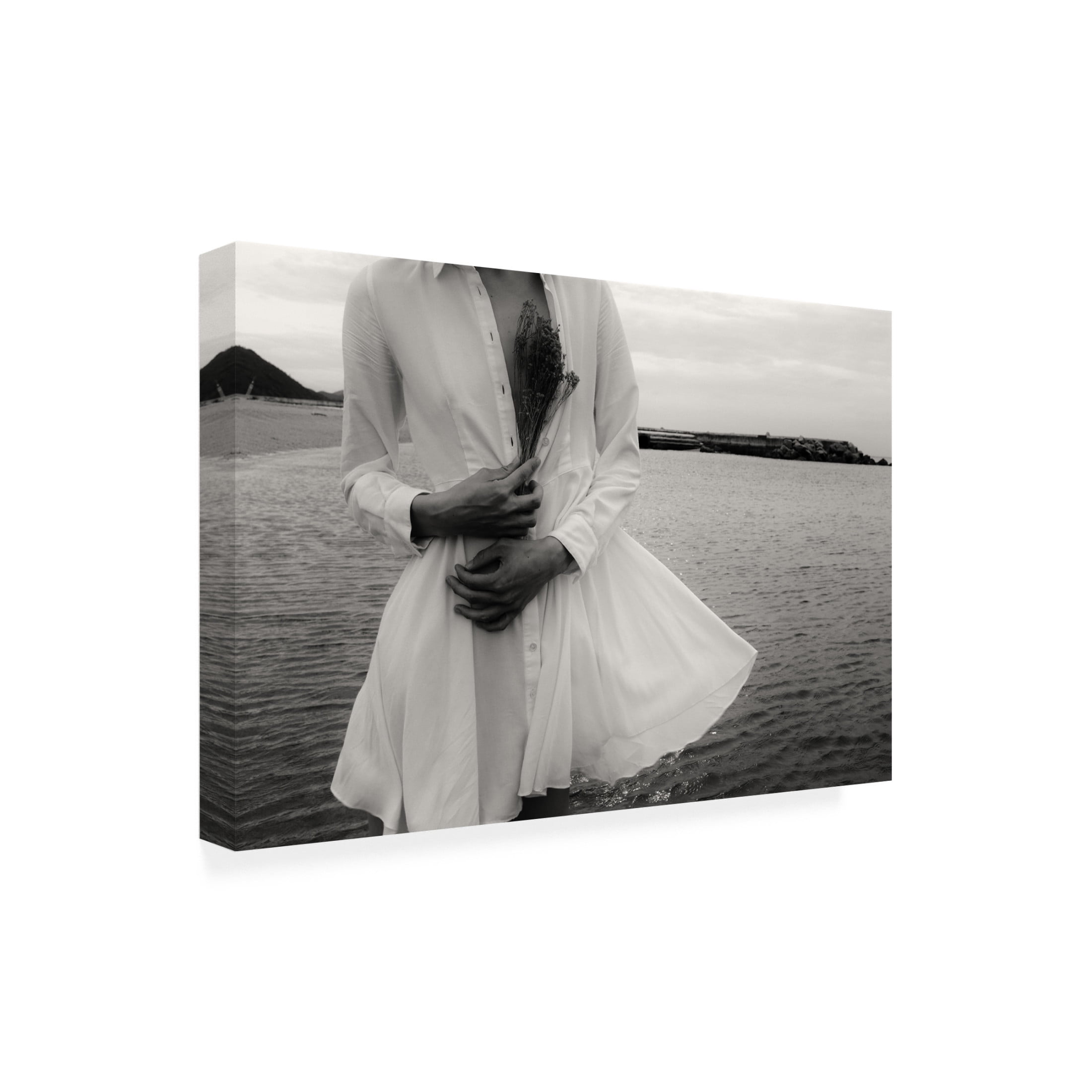 Trademark Fine Art Takaaki Ishikura Ebb Tide Canvas Wall Art