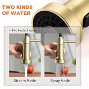 Brushed Gold Kitchen Faucet with Pull Down Sprayer Single Handle Spring Faucet