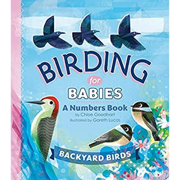 Pre-Owned Birding for Babies: Backyard Birds : A Numbers Book (Other) 9780593386989