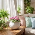 thumbnail image 7 of BUYMAX 8 in. Ceramics Self-Watering Planter,African Violet Pot for Beginners & Busy Plant Owners,White, 7 of 7