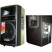 Passive 10-in two-way 300 watt professional speaker system