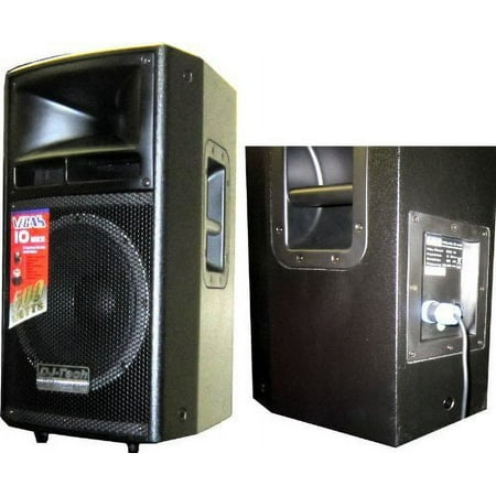 Passive 10-in two-way 300 watt professional speaker system
