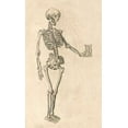 thumbnail image 2 of Bauhin, Caspar 10x14 Gold Ornate Wood Framed with Double Matting Museum Art Print Titled - Human Skeleton with Hourglass, 2 of 4