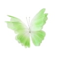 thumbnail image 3 of Mariposa artificial de hilo, decoración, mariposa gigante de gasa, malla de mariposa falsa, fotografía Verde, 3 of 9