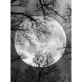 thumbnail image 1 of Evershine 5D DIY Diamond Painting Moon Full Square Diamond Embroidery Landscape Cross Stitch Mosaic Sale Home DecorationFull Square 45X60cm Gao Jinjia LED, 1 of 2
