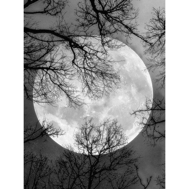 Evershine 5D DIY Diamond Painting Moon Full Square Diamond Embroidery Landscape Cross Stitch Mosaic Sale Home DecorationFull Square 45X60cm Gao Jinjia LED
