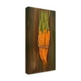 thumbnail image 2 of Trademark Fine Art 'Carrots' Canvas Art by Gigi Begin, 2 of 3