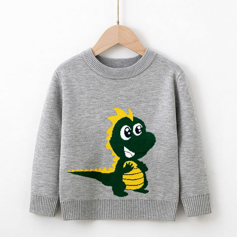 Dinosaur sweater boys sale