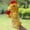 L, variant on Hand Puppets for Kids, TOUMENY Soft Plush Parent-Child Role Play Puppet, Movable Hands Big Mouth Storytelling Glove Puppet for Imaginative Stage Performance Classroom Church