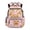 Capybara Pink, variant on Blue Dinosaur Boys Backpack Kids School Bag Fashion Print with Adjustable Straps Front Pockets Back to School Essentials Gifts for Teens Middle School