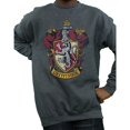thumbnail image 3 of Harry Potter Boys Gryffindor Sweatshirt, 3 of 5