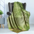 thumbnail image 4 of Landscape Soft Flannel Fleece Throw Blanket, Photo of Misty Forest After the Rain in Sunshine Hiking Trail Outdoors Scenic, Cozy Plush for Indoor and Outdoor Use, 60" x 80", Multicolor, by Ambesonne, 4 of 5