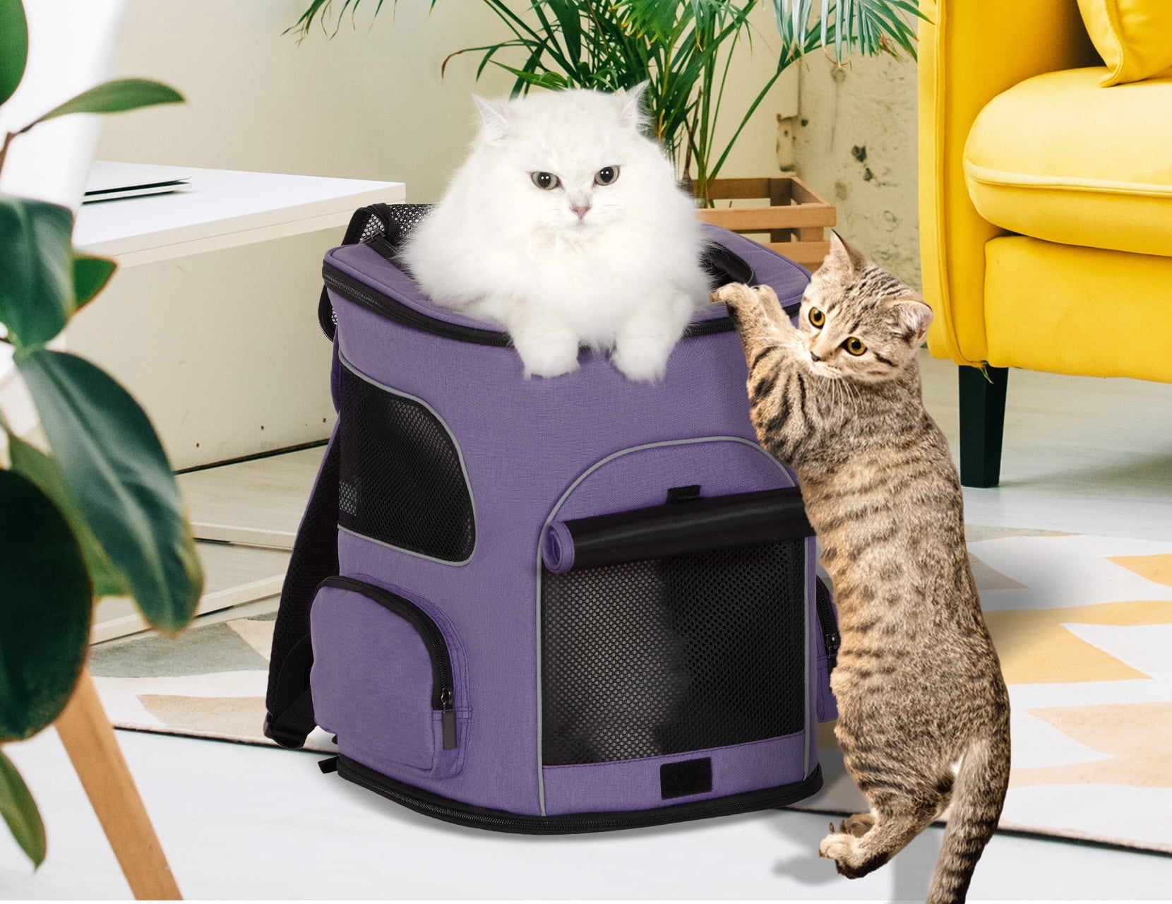 PETSFIT Cat Backpack Carrier with Upgraded Waist Protection,Pet Backpack for Small Dogs and Cats, Ideal for Outdoor Traveling, Hiking, and Camping (Purple)