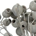 thumbnail image 3 of Vickerman Natural Botanicals 11" x 4" Bellgum Branch, 5-7 Bells, Ivory Frosted, 10 stems per unit, 3 of 7