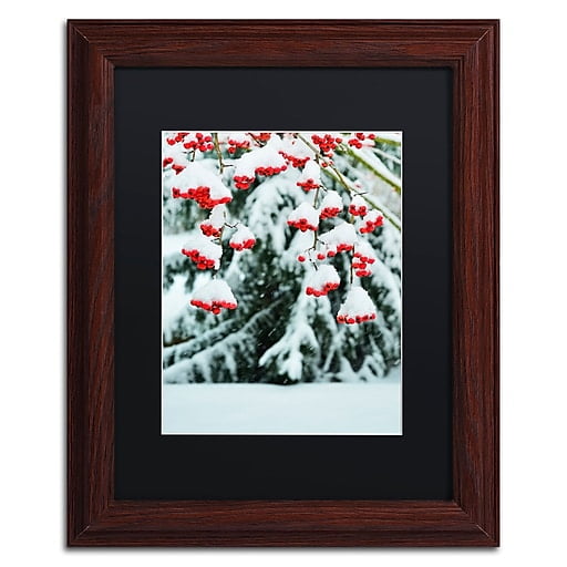Trademark Fine Art "Winter Berries and Pine" Canvas Art by Kurt Shaffer Black Matte, Wood Frame