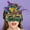511_Purple, variant on RANJIE Carnival Games Masquerade Sequins Caveman MardiMasquerade Sequins Caveman Mardi