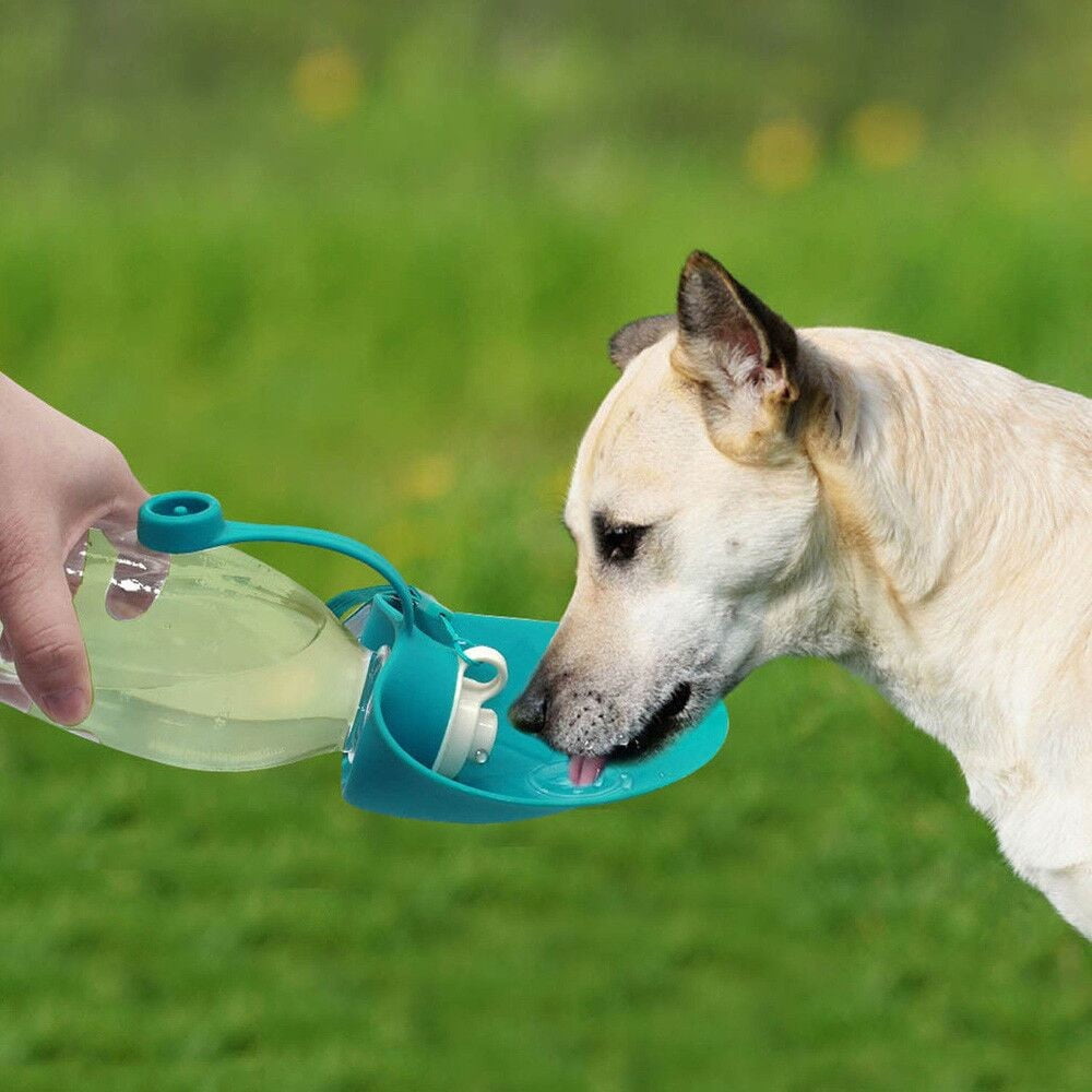 Agiferg Portable Pet Dog Cat Water Bottle Travel Dog Cat Bowl