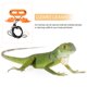 thumbnail image 2 of VERDANVERSE 5Ud Arnés De Reptil Ajustable De Cuero Con Ala Para Pequeñas Mascotas, 2 of 5