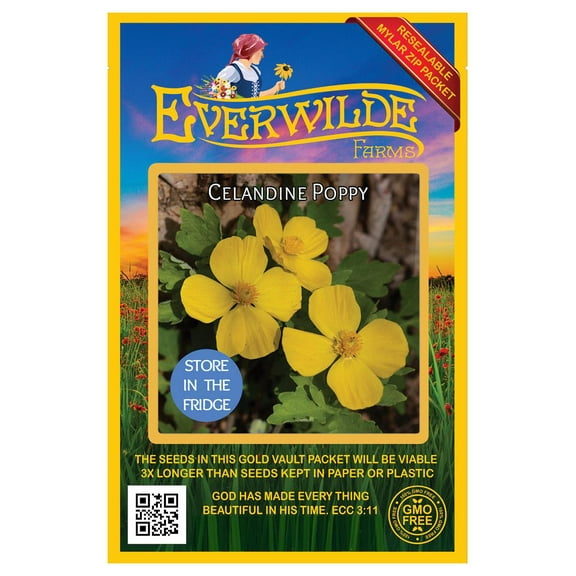 Everwilde Farms - 15 Celandine Poppy Native Wildflower Seeds - Gold Vault Seed Packet