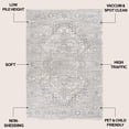 thumbnail image 2 of JONATHAN Y MODERN PERSIAN 4 x 6 Area Rug, Modern Persian Vintage Medallion - Cream, MDP100C-4, 2 of 6