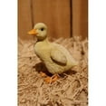 thumbnail image 2 of Hi Line Gift 87697-B Yellow Ducklings Garden Statue, 2 count, 2 of 8