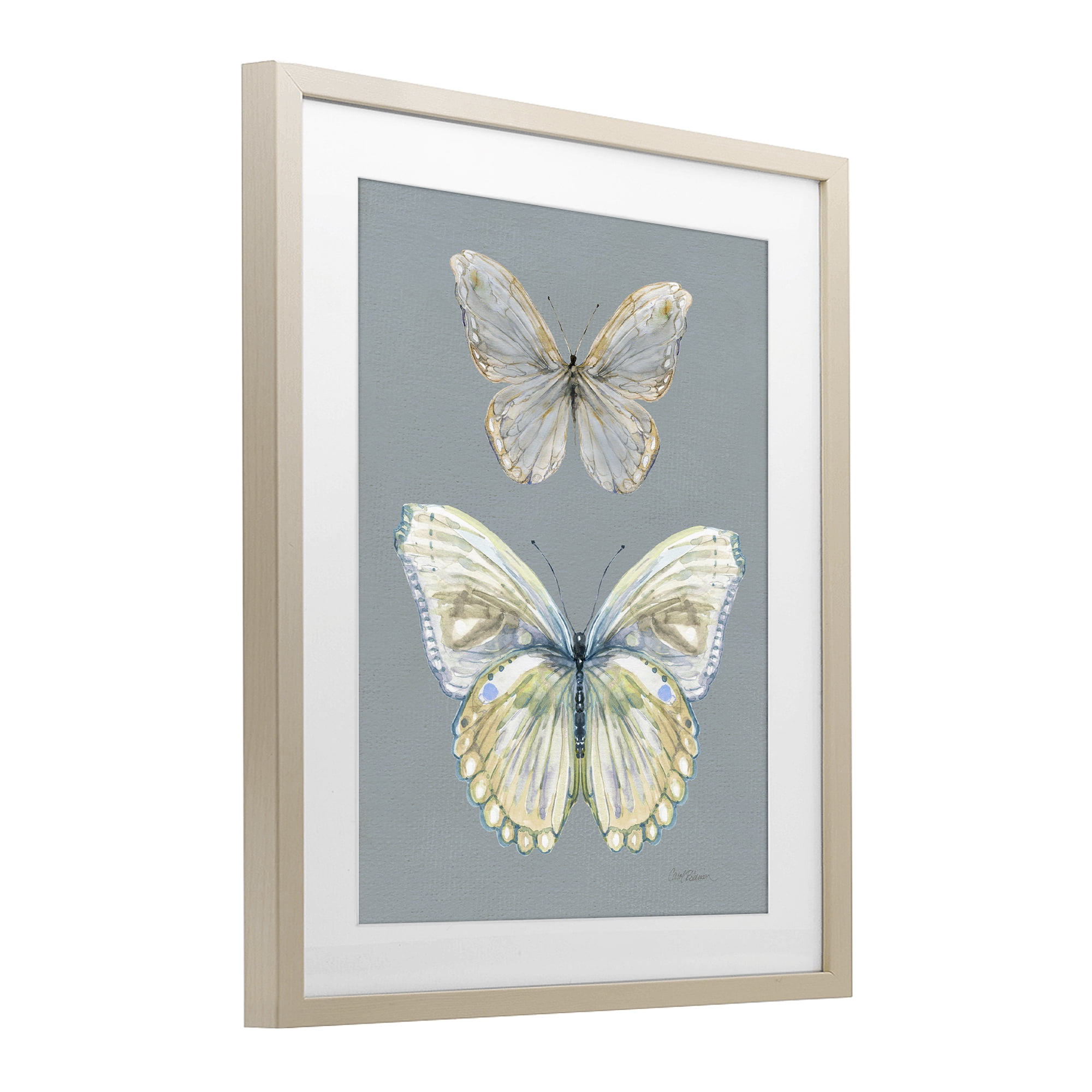 Stupell Industries Butterfly Pair Study Birch Framed Print Under Glass, design by Carol Robinson