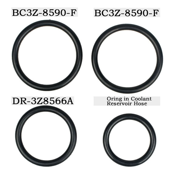 3mirrors Engine Coolant Pipe O-Ring Kit Fits Ford F-150 926-168 - OE Solutions DR-3Z8566-A BC3Z-8590-F