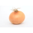 thumbnail image 3 of Sweet Yellow Spanish Onion Seeds/Annual/ Full Sun/125 Seeds 1/2 Gram/Zellajake Farm and Garden- B175, 3 of 5