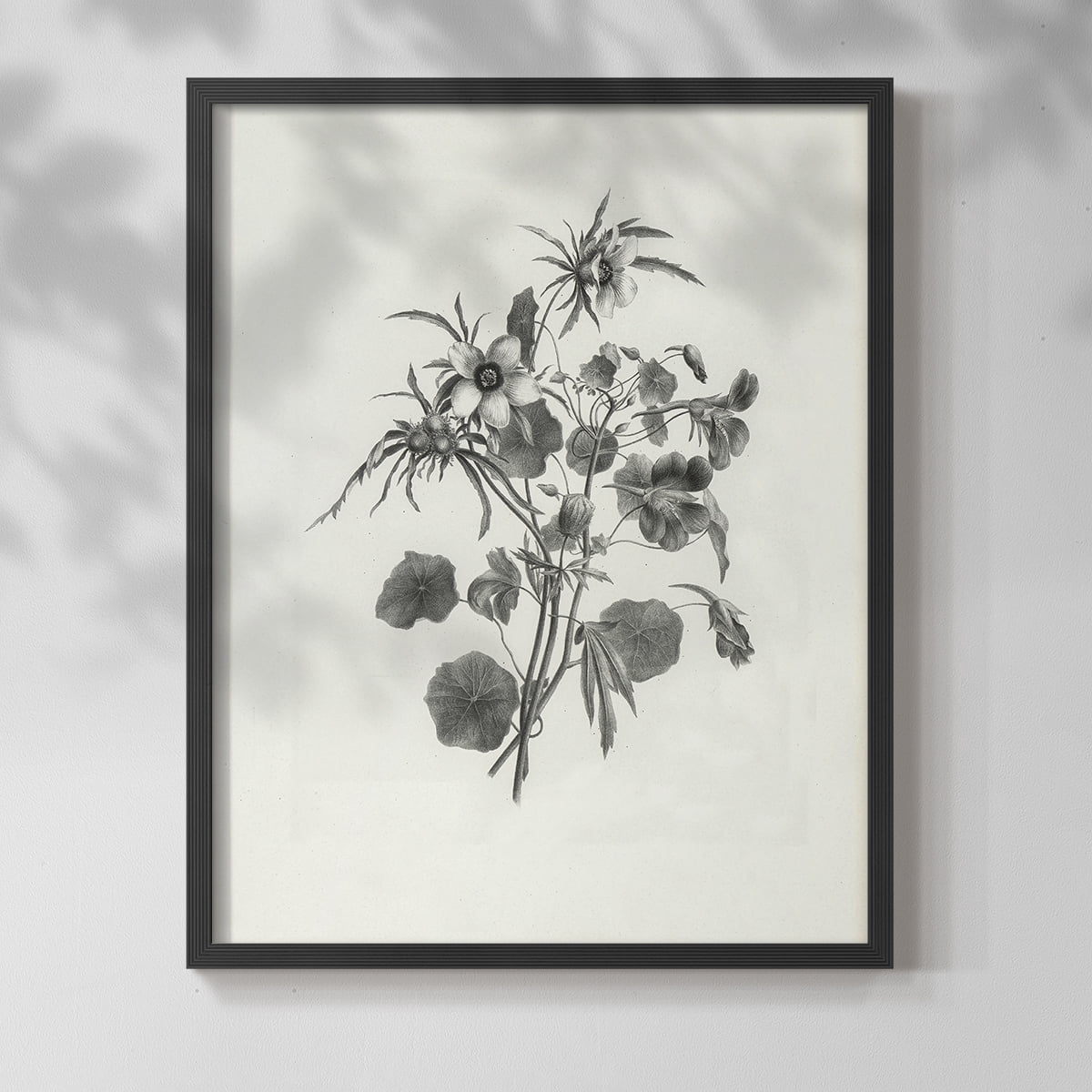Vintage Floral Print CCCXXXVI - 14in. x 11in. Vintage Framed Print in Black Wood Frame