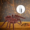 thumbnail image 3 of de animales de tarántula realistas, broma divertida, broma, broma, regalos para Halloween, decoración de de Navidad, cumpleaños, C CUTICAT Mando a distancia RC Spider, 3 of 8