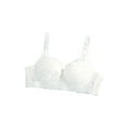 thumbnail image 2 of INSPIRE CHIC Women's Plus Size Full Coverage Padded Floral Underwired Bra White-2 Pcs 42/95 Fit 40B/C, 2 of 6