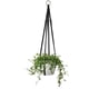 thumbnail image 1 of Cuerda Colgante Para Flores De Interior, Maceta Para Plantas, Cuerda Colgante De Cuero, Exquisita Maceta, Soporte Para Decoración De Pared Inevent HA026414-01, 1 of 7