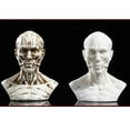 thumbnail image 4 of Human Model Crafts Muscle For Teaching, Drawing, Display Collection , White, 4 of 8