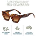 thumbnail image 3 of Gafas de sol poligonales de montura gruesa europeas y americanas, gafas de sol de moda personalizadas, hechas de PC, 3 of 5