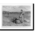 thumbnail image 2 of Historic Framed Print, The gleaners, 17-7/8" x 21-7/8", 2 of 9
