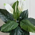 thumbnail image 4 of Nearly Natural 24in. Spathiphyllum Artificial Plant (Set of 3), Green, 4 of 4