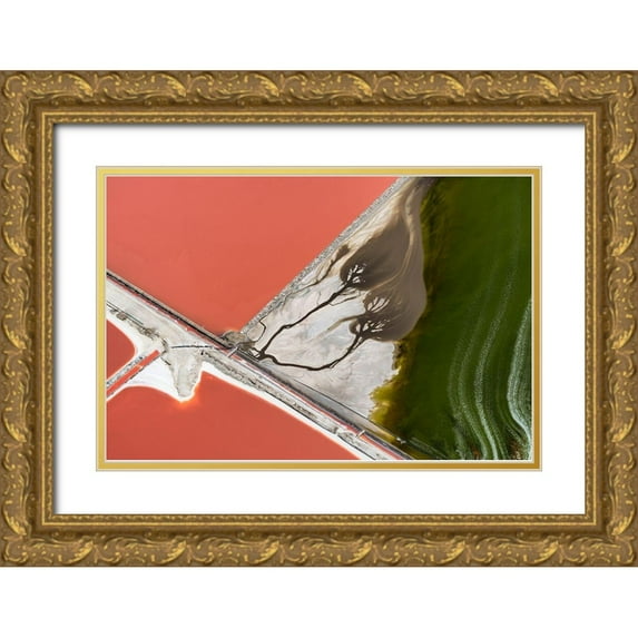 Macua, Gerald 18x13 Gold Ornate Wood Framed with Double Matting Museum Art Print Titled - Natures painting