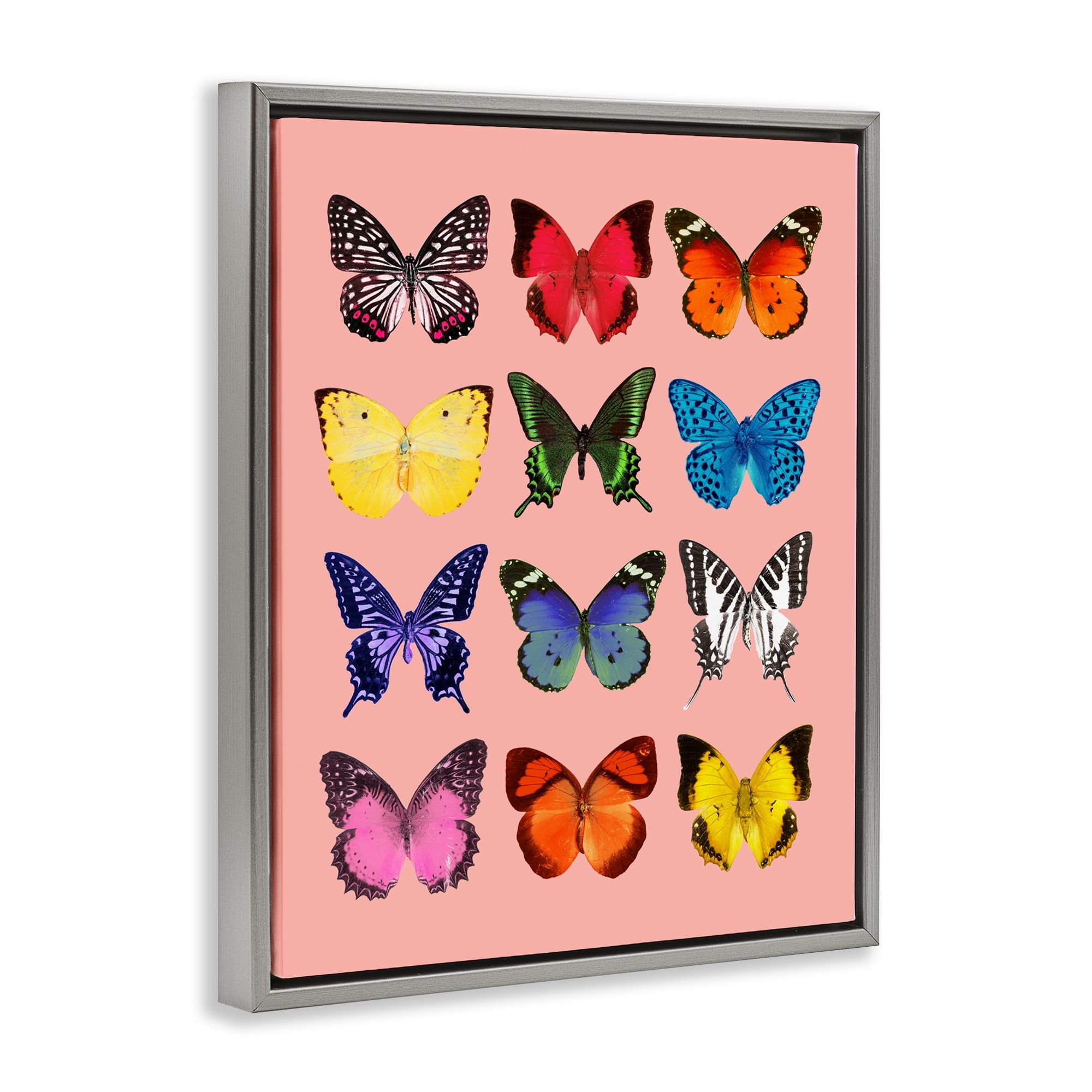Butterfly Species on Pink Gray Framed Floater Canvas Wall Art, design by LISH Creative