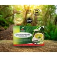 thumbnail image 5 of Hanan Peruvian Secrets Chancapiedra Herbal Tea | 100% Natural Stonebreaker | 25 Tea Bags | Aids in Promoting Normal Kidney Function Naturally - 1 Pack, 5 of 12