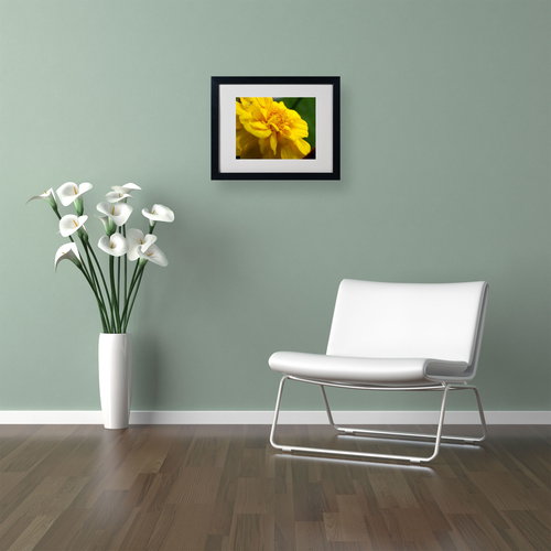 Trademark Fine Art "Ambiguous Vision" by Monica Fleet, Black Frame