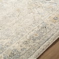thumbnail image 5 of Hauteloom Tyche Living Room, Bedroom Area Rug - Traditional - High Pile - Light Gray, Peach, Gray - 2' x 2'11", 5 of 6