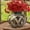 Red, variant on JMYHOAM Fake Flowers 3 Color Outdoor Artificial Flowers No Fading Plastic Flowers Suitable for Independence Day Memorial Day Party Event Decoration Suitable for Garden Porch WinGifts