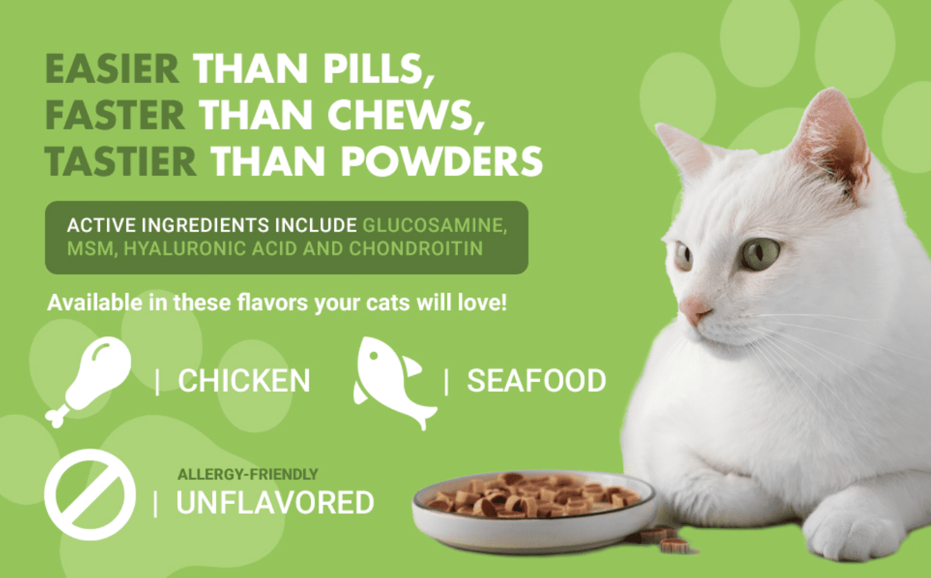 Liquid-Vet Hip & Joint Saver Supplement for Cats with Glucosamine, Chicken, 8 oz.