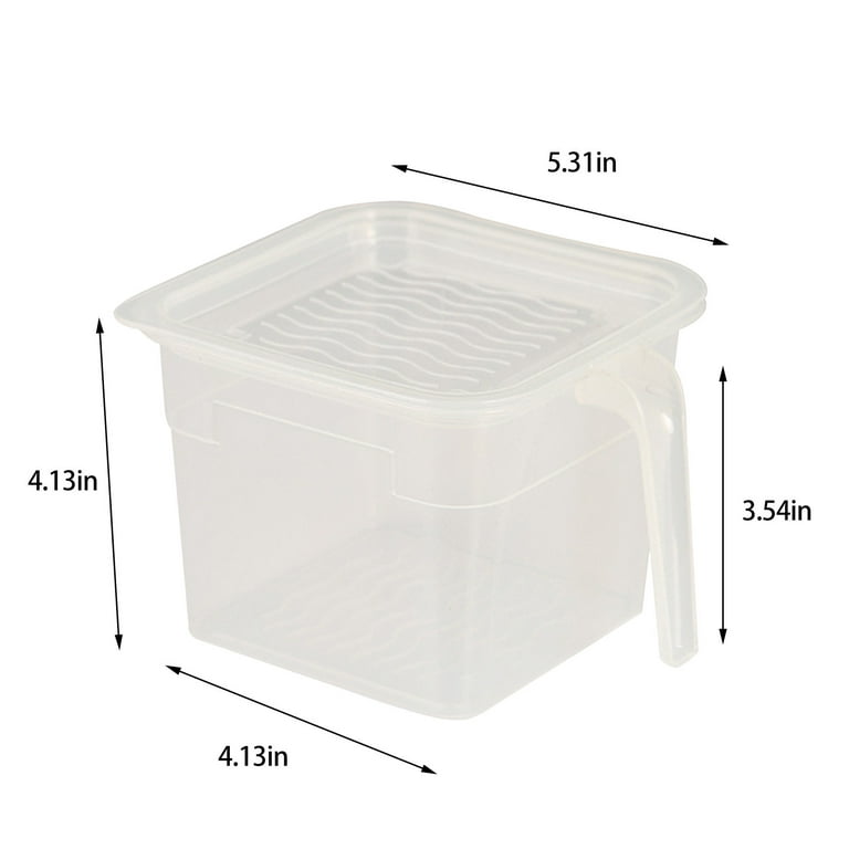 solacol Clear Plastic Storage Bins with Lids Small, Plastic Transparent  Covered Refrigerator Vegetable and Fruit Sorting Storage Food Storage Box