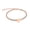 Rose Golden, variant on Heart Urn Bracelet for Ashes for Women Men Stainless Steel Cremation Jewelry Keepsake Holder Memorial