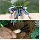 thumbnail image 5 of Juego de 3 piezas de herramientas de jardinería, mini mango de madera, paleta, herramientas de jardinería compatibles con flores, trasplante suculento (pequeño) Afortunado Sencillez, 5 of 5