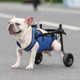 thumbnail image 1 of Dog Wheelchair Disability Dog Hind Legs Bracket Cat Dog Injured And Weak Rehabilitation Aid Car Adjustable Pet Walk Booster ShopWise Round, 1 of 6