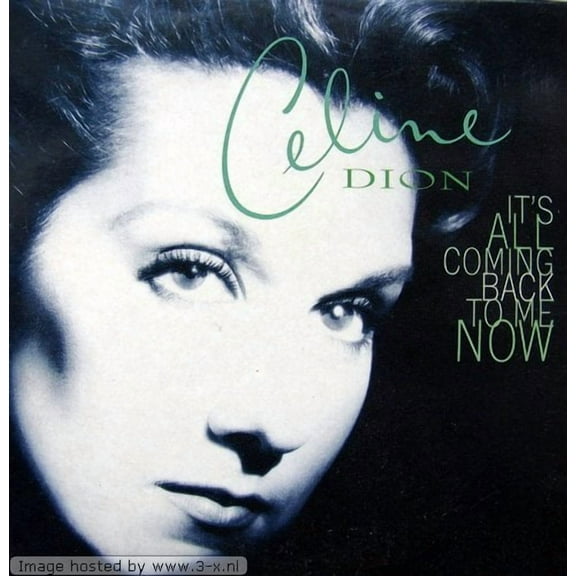 Céline Dion It'S All Coming Back To Me Now (CD)