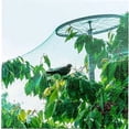 thumbnail image 2 of Filet de Protection pour Plantes Filet Anti-Oiseaux pour Arbres Fleurs Fruits 2x5M Semis, Filet de Protection pour Plantes, 2 of 5
