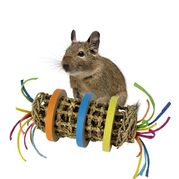 Super Bird Creations SC230 Toss, Roll, & Chew Toy - Triple Treat Toy for Parrots - Seagrass Mat w/Colorful Paper Twists, Bagels for Maximum Interest - Suitable for Medium Birds & Small Animals, 9"x4"